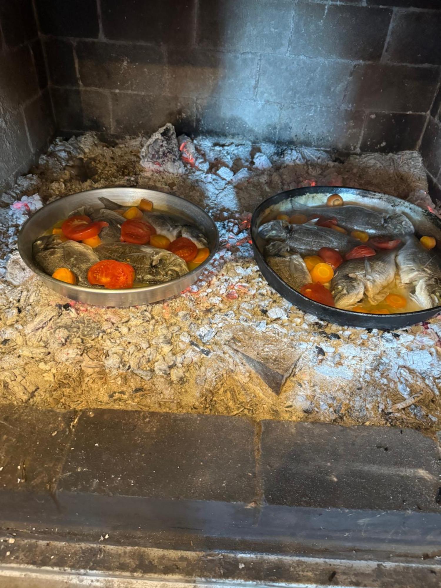 Qyteza Guest House & Camping Shkodër 외부 사진